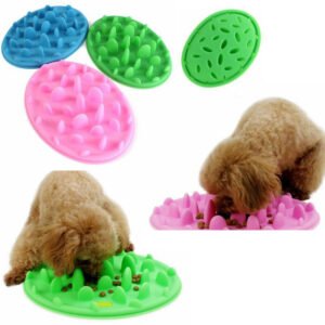 Silicone slow feeder bowl for dogs with raised maze pattern — anti-choke feeding bowl