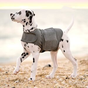 Dog anxiety vest on a calm dog - Dog anxiety calming wrap vest in heather gray — gentle pressure jacket for stressed dogs