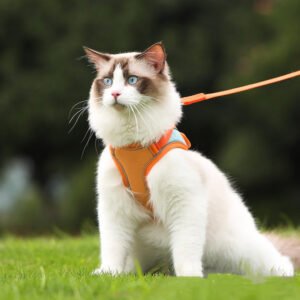 Anti-escape reflective cat harness with leash (photo 1)