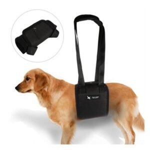 Senior dog care kit with ramp, harness and socks - Senior Relief Kit showing a solid wood folding dog ramp, padded rear lift harness, and anti-slip dog socks